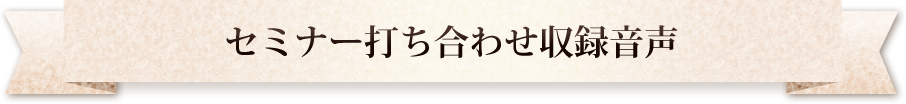 セミナー打ち合わせ収録音声